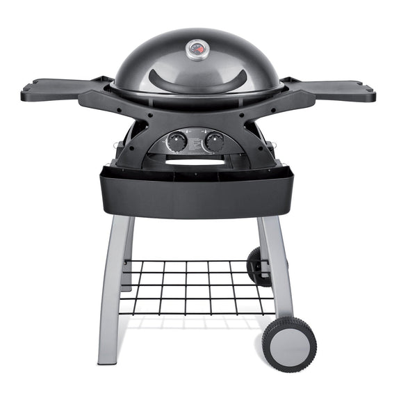 Barbecue a Gas GPL 2 Fuochi 5,2kW 2 Ripiani con Carrello Twin Grill Grigio prezzo