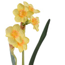 Set 6 Giunchiglia con 2 Fiori Artificiali Altezza 55 cm Giallo