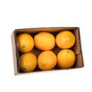 Set 18 Limoni Artificiali 7x5 cm