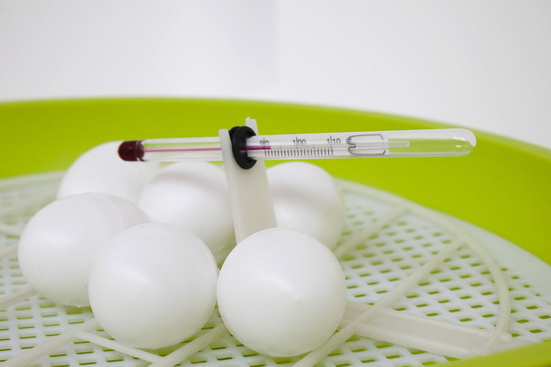 Incubatrice per Uova Smart Digitale 24 Blu