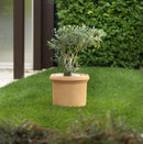 Vaso Ø40x30cm in Resina Tulli Cilindro Vicenza Classic 40 Antracite