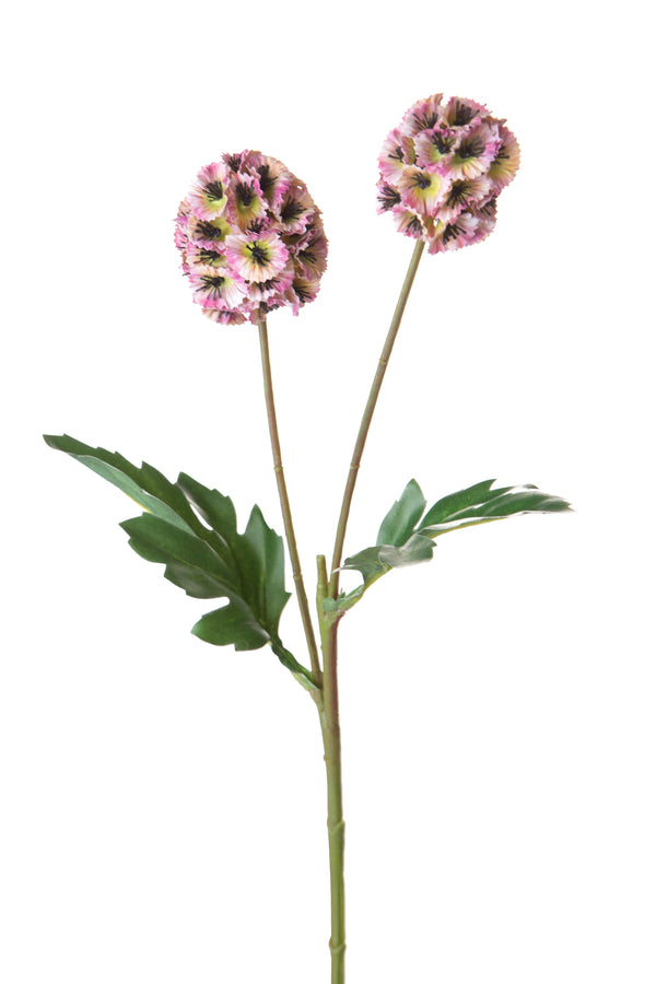 prezzo Set mit 24 künstlichen Blumen von Scabiosa Stellata, bestehend aus 2 künstlichen Blumen, Höhe 58 cm, Rosa