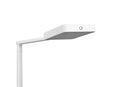 Piantana da Interno a LED in Metallo Bianco Opaco