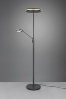 Piantana da Interno a LED SMD in Metallo Antracite