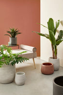 Set 3 Vasi Tressage Terracotta