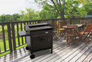 Barbecue a Legna e Carbone 120x60x92 cm con Forno per Pizza in Acciaio Etna Nero