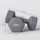 Set 2 Manubri Palestra 10 kg Pesi esagonali per Allenamento Grigio