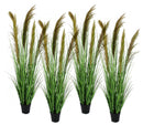 Set 4 Piante Artificiali con Vaso Ø 70x145 cm Pampas in Plastica Verde Marrone
