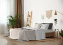 Set Lenzuola Sopra Sotto e Federe Doubleface Grigio Chiaro\/Panna Varie Misure