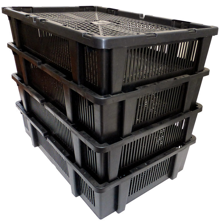 Incubatrice per Uova MG320S Maxi Pro