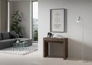 Consolle Allungabile 90-300x42x77 cm in Nobilitato Marrone