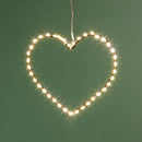 Set 2 Cuori Luminosi con 40 Microled Ø20 Uso Esterno 