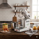 Impastatrice a Spirale Ribaltabile Vasca Estraibile 8Kg 350W Famag IM 8S 10 Velocità