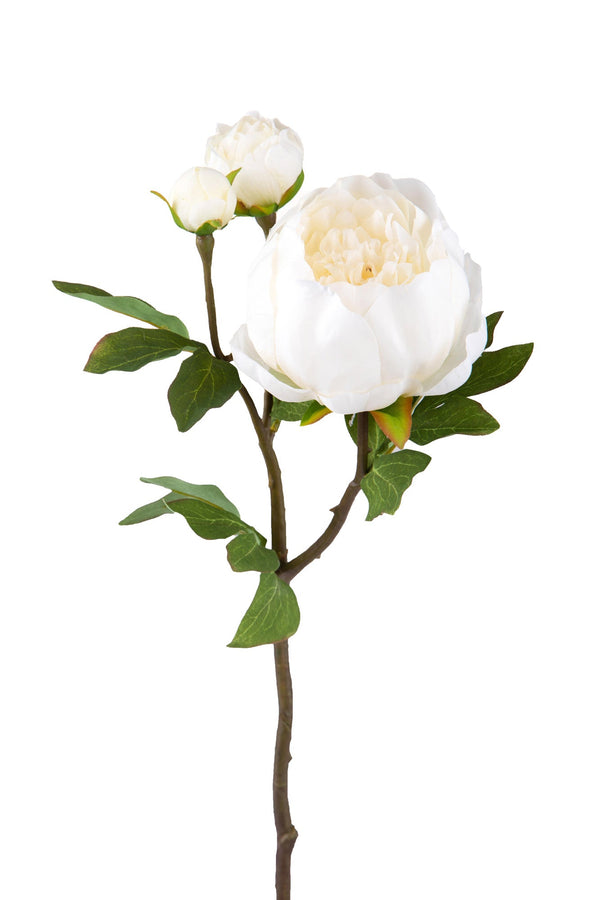 Set 6 romantische künstliche Pfingstrosen mit 3 Blumen Höhe 49 cm acquista