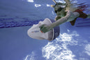 Seascooter Acqua Scooter Elettrico per Bambini 1,6 Km/h Nautica Marlin Bianco