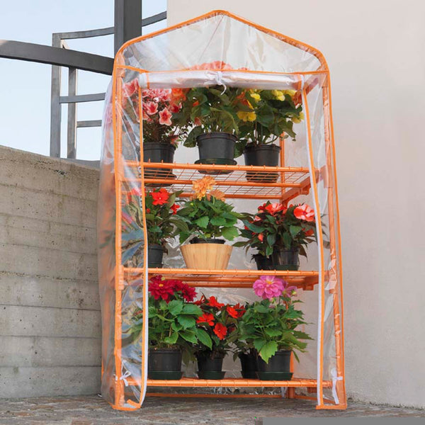 Garten-Gewächshaus aus Aluminium, 3 Regale mit oranger Azaleen-Rama-Abdeckung prezzo