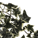 Set 2 Edera Artificiale English Ivy con 129 Foglie Altezza 68 cm Verde