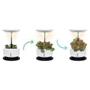 Macchina per Coltivazione di Piante Erbe Fiori con Lampada LED Garden Machine Bianco