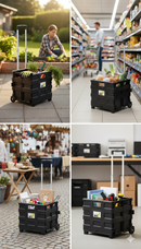 Carrello da Trasporto Pieghevole Max 25 Kg in Alluminio e Plastica Ranieri Nero