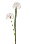 Set 2 Tarassaco Artificiali Composto da 2 Fiori Artificiali con Foglie Altezza 120 cm Bianco