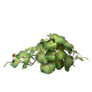 Set 4 Rami Artificiali Heuchera per 36 Foglie 20 cm