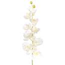 Set 2 Phalaenopsis Artificiale con 10 Fiori Altezza 109 cm 