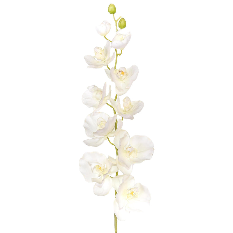 Set 2 Phalaenopsis Artificiale con 10 Fiori Altezza 109 cm 