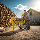 Spaccalegna Orizzontale Elettrico Spinta 11 Tonnellate Famag SL11 e 600