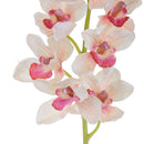 Set 2 Rami Artificiali Cymbidium Real Touch con 10 Fiori e 2 Bocci H 92 cm