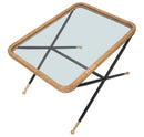 Tavolino Basso 70x50x45 cm in Metallo con Piano in Vetro