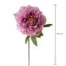 Set 6 Fiori Artificiali Peonia 65 cm 
