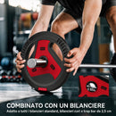 Dischi Pesi Palestra Set 4 Pezzi 30 kg con Foro 2,5 cm in PP e Cemento Nero      