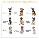 Gabbia Pieghevole per Cani Max 15 Kg 84,5x51,4x61 cm in Legno Bianco e Grigio