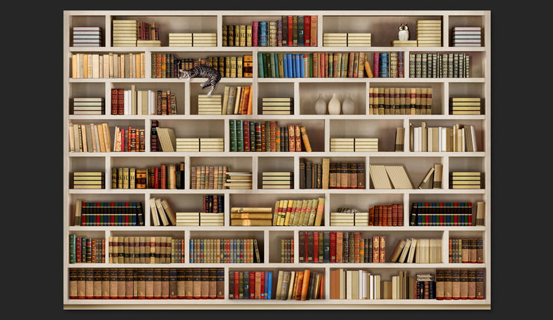Fotomurale - Biblioteca Di Casa Carta Da Parato Erroi
