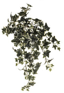 Set 2 Edera Artificiale English Ivy con 129 Foglie Altezza 68 cm Verde