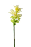 Set 4 Rami Artificiali Ginger Fiore con Foglie 100 cm 