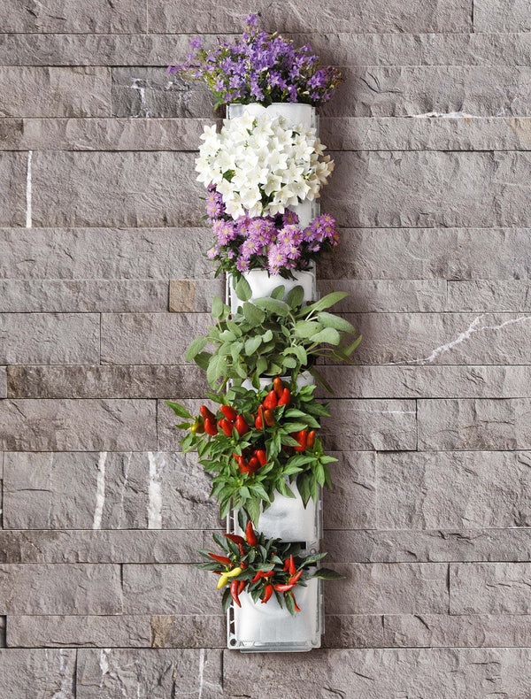 Vertical Garden 6 Töpfe 15 x 17 x 12 cm Austauschbarer Rama Vertical Garden prezzo