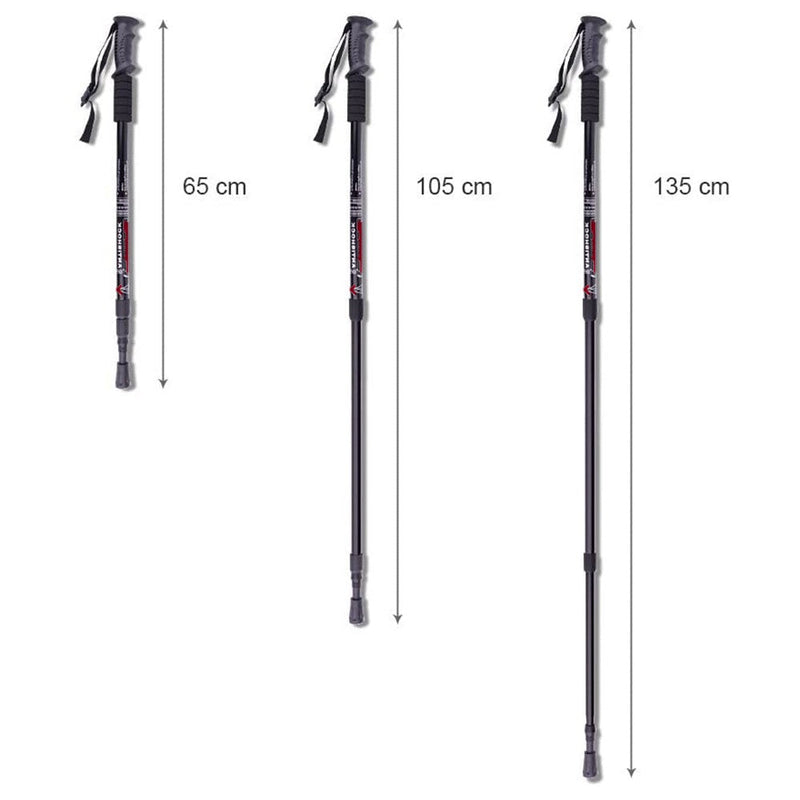 Set 2 Bastoni da Trekking 135 cm Regolabili con Impugnatura Antiscivolo