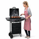 Barbecue a Gas 2 Fuochi 5 kW Griglia BBQ 45x32 cm con Piani Laterali e Ruote in Acciaio Nero      