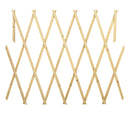 Traliccio grigliato estensibile per Piante 150x30 cm in legno