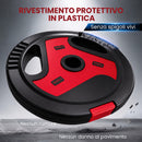 Dischi Pesi Palestra Set 4 Pezzi 25 kg con Foro 2,5 cm in PP e Cemento Nero      