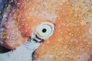 Stampa su Tela con Applicazioni Flamingo 120x3,8x80 cm in Legno e canvas