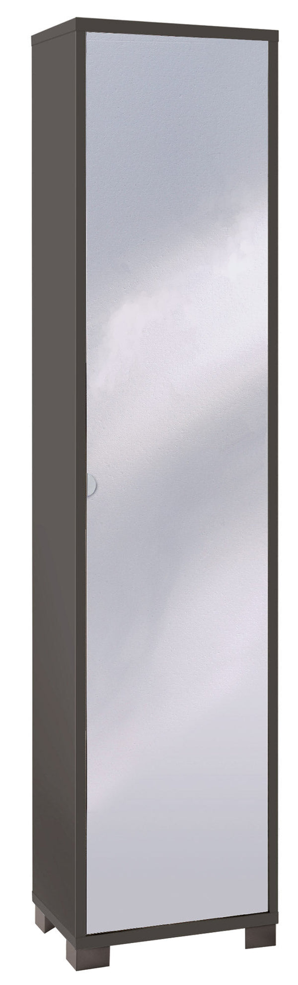 1-türiger Kleiderschrank mit Spiegel 43x190x29 cm Titan prezzo