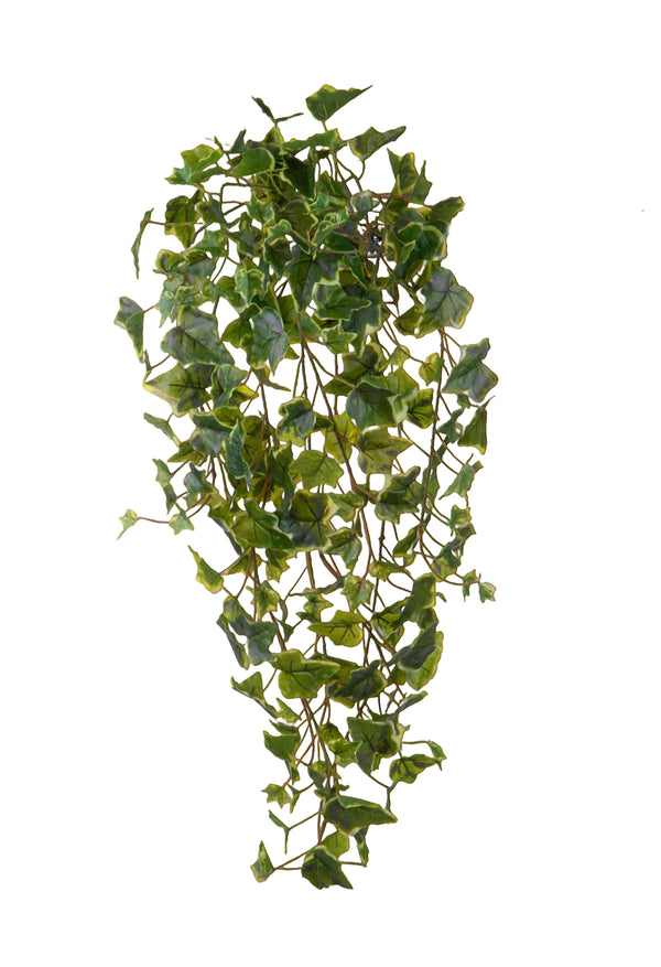 acquista Set 2 Foglie Artificiali Edera 85 cm Cadente Real Touch