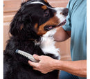 Pettine elettrico taglia e sciogli nodi per cani e gatti a batterie