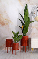 Porta Vasi Archy Tris Ø36x58 cm - Ø30x48 cm - Ø24x38 cm in Ferro Rosso      