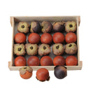 Set 6 Sorbe Artificiale 20 Pezzi Larghezza 3,5 cm 