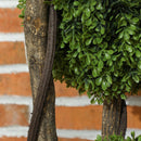 Pianta di Bosso Artificiale 115A cm a 3 Sfere con Vaso Incluso Verde   