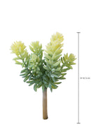 Set 6 Rami Artificiali Grassa a 6 Diramazioni H 185 cm