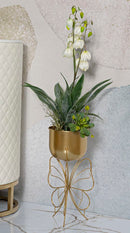 Porta Vaso Farfy Ø22x45 cm in Ferro Oro      